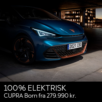  CUPRA Born